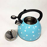 Чайник із свистком для газової плити Unique UN-5301 2,5л горошок, металевий чайник. Колір: блакитний, фото 2