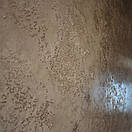 Ефект античних мармурових стін "Стукко" (МАТЕРІАЛ З ВИКОНАННЯМ), фото 4