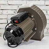 Зернодробілка, кормоподрібнювач CRM22 2 кВт, 230 кг/год, фото 5