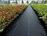 Агроткань против сорняков 110 г/м² черная UV 0,4х100м