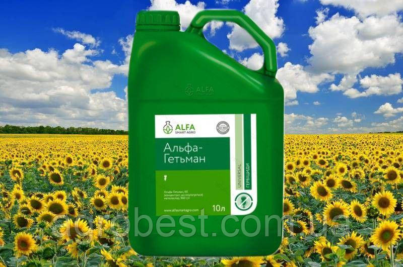 Гербицид Альфа-Гетьман 5л: продажа, цена в Киеве. Гербициды от "ТОВ ...