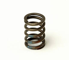 Пружина клапана Daewoo Lanos\Chevrolet Aveo 1.5 (GM)