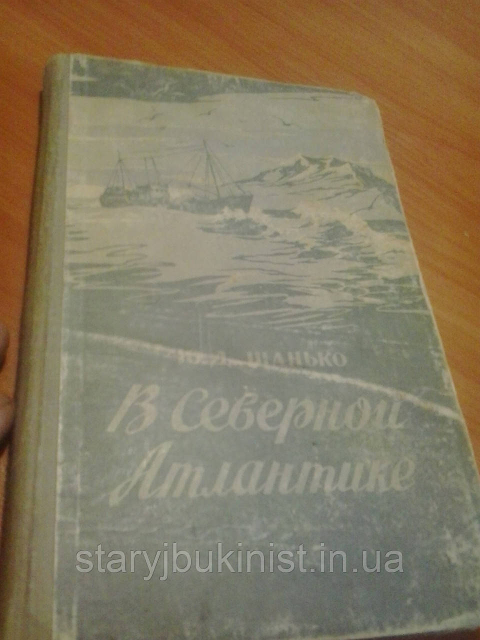 У Північній Атлантиці Ю. Шанько