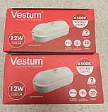 Світильник стельовий світлодіодний для ЖКГ овальний накладний LED 12W 4500К IP65 Vestum з датчиком руху, фото 8