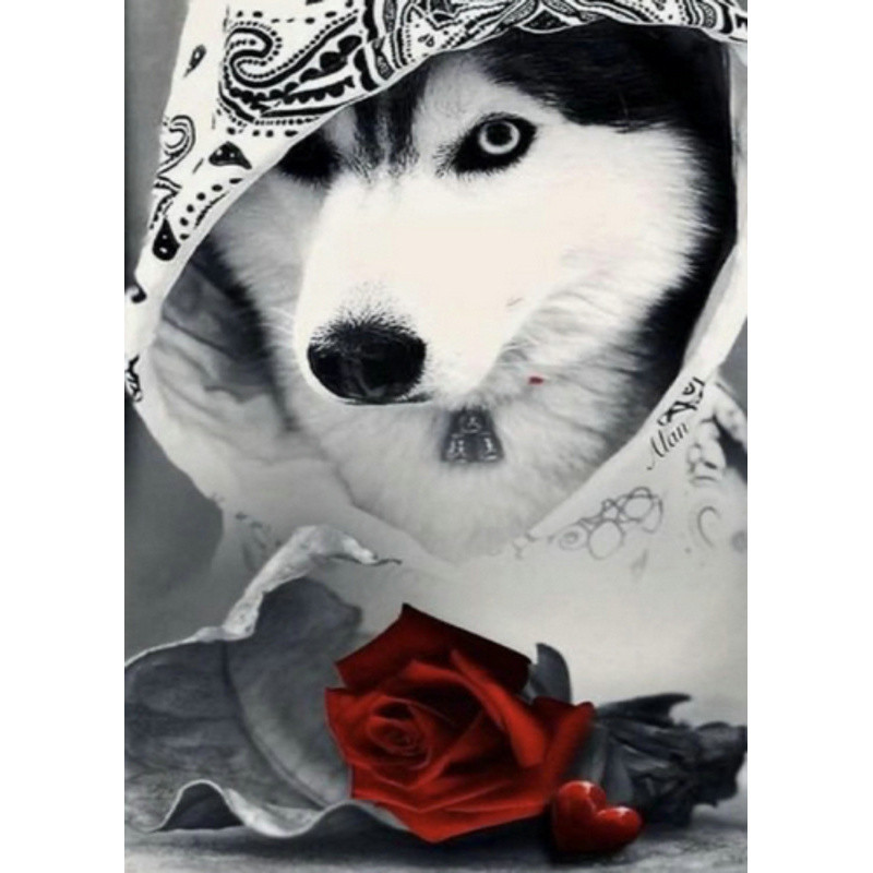 Алмазна мозаїка Хаскі з трояндою без підрамника розміром 30х40 см Strateg (GD86105), фото 1