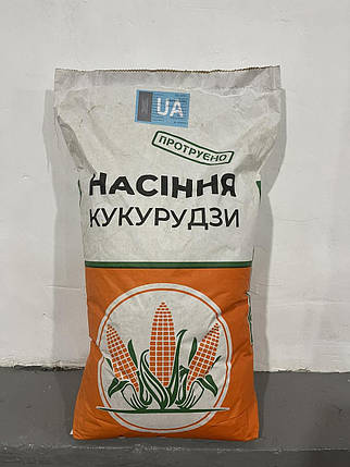 Насіння кукурудзи ДН Хортиця ФАО 240, насіння ранньої кукурудзи, фото 1