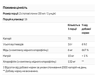 Chlorofresh рідкий хлорофіл з ароматом м’яти (Liquid Chlorophyll) Mint Nature's Way 132 мг 473,2 мл, фото 4