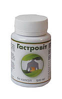 Гастровіт БАД проти гастриту виразки 60 капсул Вітера (НЗ)