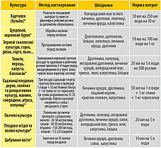 Протруйник насіння та бульб Номінал Ультра, 40 мл, Адіант, фото 4