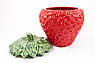 Велика супниця з кераміки у червоному кольорі "Полуниця" Bordallo, фото 2