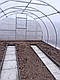 Теплиця 3х8х2,1 м садова парник для дому Економочка з тепличною плівкою 150 мкм, фото 3