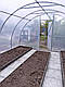 Теплиця 3х8х2,1 м садова парник для дому Економочка з тепличною плівкою 150 мкм, фото 6