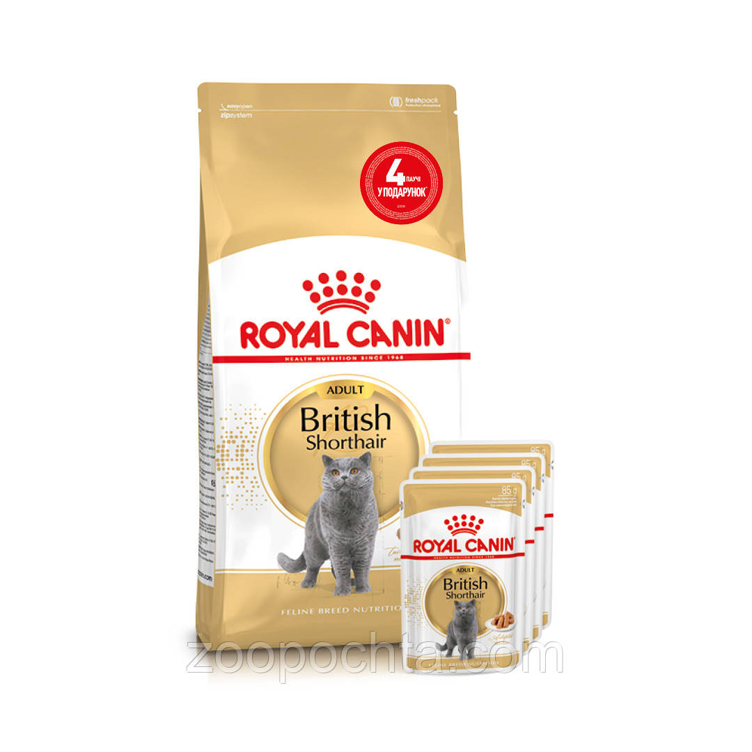 АКЦІЯ! Сухий корм Royal Canin British Shorthair Adult для британських котів 2КГ + 4 вологих паучів У ПОДАРУНОК!