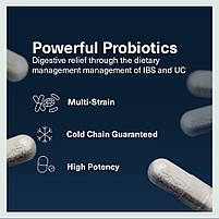 VSL#3 60 капсул. 112.5 мільярдів живих молочнокислих бактерій і біфідобактерій, 8 різних штамів., фото 3