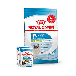 АКЦІЯ! Royal Canin X-Small Puppy (Роял Канін Папі) сухий корм для цуценят дрібних порід 1.5КГ + 4 павучів У ПОДАРУНОК!
