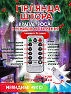 Гірлянда штора кольорова 2 на 3 метри USB на 200 LED RGB-лампочок фіранка з пультом у прозорому силіконі, фото 4