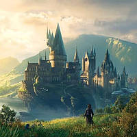 Виниловая пластинка Soundtrack HOGWARTS LEGACY: ORIGINAL VIDEO GAME