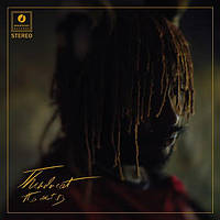 Виниловая пластинка Thundercat It Is What It Is CLEAR