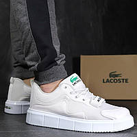 Кроссовки мужские подростковые Обувь для спорта и активного отдыха Lacoste ЦветовUP