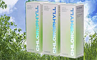 Хлорофил Chlorophyll CHOICE Pro Healthy -энергия, имунитет, очищение, детокс , 50 мл.