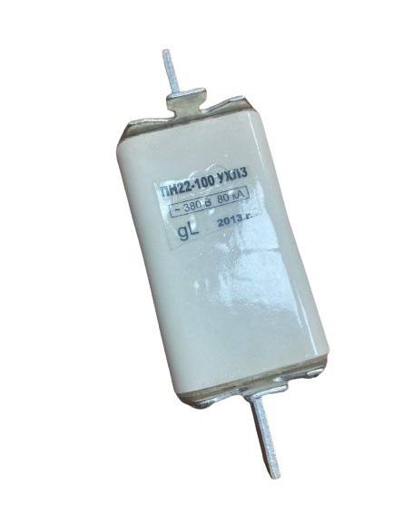 Предохранитель ПН-22 100А (ID#2070800790), цена: 70 ₴, купить на Prom.ua