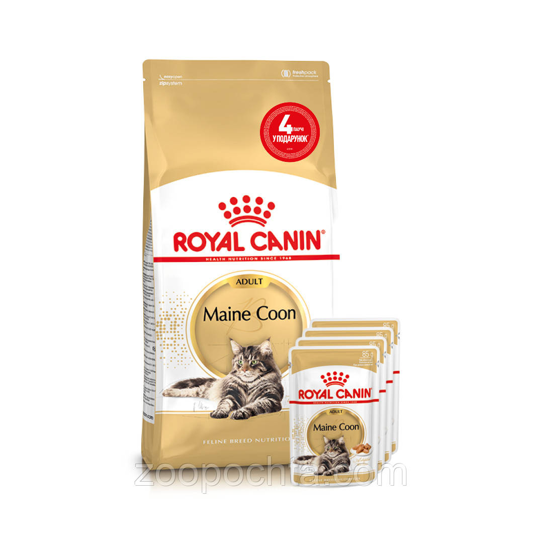 АКЦІЯ! Сухий корм Royal Canin Maine Coon Adult для кішок породи Мейн кун, 2КГ + 4 вологих паучів У ПОДАРУНОК!