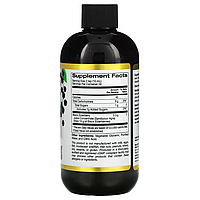 Adult Sambucus Elderberry California Gold Nutrition 240 мл, фото 2