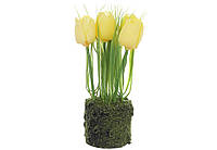 Декоративная композиция Тюльпаны с искусственным мхом, пластик, 22см, желтый с зеленым