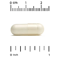 Нікотинамід NMN 175 мг California Gold Nutrition 60 капсул, фото 3