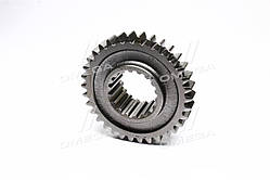 Шестерня реверс-редуктора ведуча ДТ-75, Z = 34  77.58.116