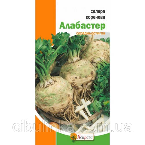 Насіння Селера коренева Алабастер Яскрава 0,2 г, фото 1