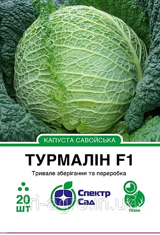 Капуста савойська Турмалін Ф1 20нас СпектрСад, фото 1
