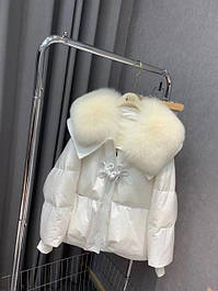 Модні куртки весна,осінь,зима 2023 .