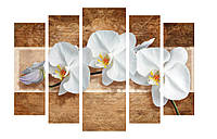 Модульная картина Декор Карпаты 120х80 см Белые Орхидеи (M5-453-1) TP, код: 184303