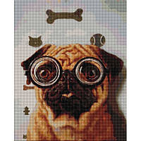 Алмазная мозаика "Проверка зрения собачки" ©Lucia Heffernan Brushme DBS1220, 40x50 см, Vse-detyam