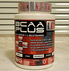 Амінокислоти BCAA DL Nutrition BCAA Plus 300 г 60 порцій