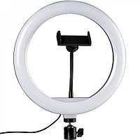 Кольцевая светодиодная LED лампа RIAS CXB-260 26см с держателем (2_009702) OM, код: 7808861