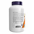 Psyllium Husk 500mg - 200 vcaps, фото 4