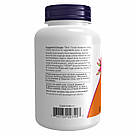 Acerola Powder - 170g, фото 4