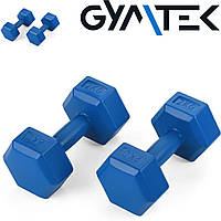 Набор гантелей композитных Gymtek 2х2 кг светло-синий Антискользящая, контурная рукоятка