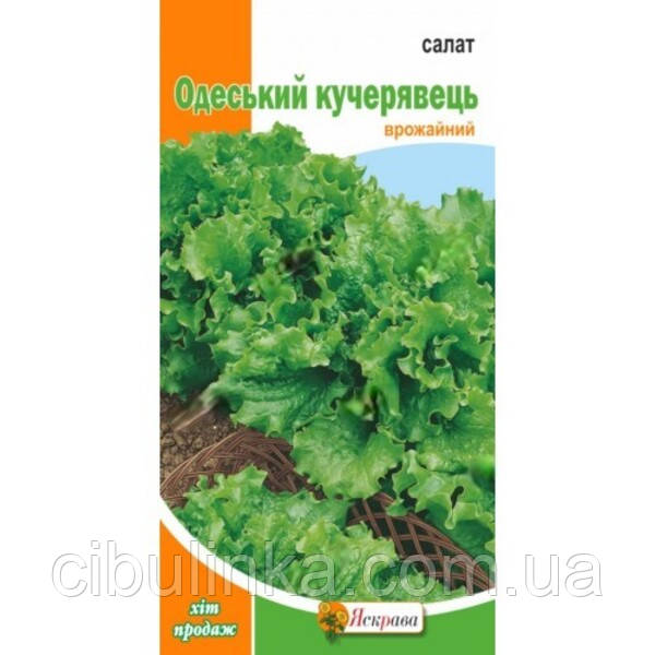 Насіння Салат Одеський кучерявець Яскрава 1 г, фото 1