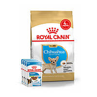АКЦІЯ! Royal Canin Chihuahua Puppy (Роял Канін Чихуахуа Папі) сухий корм для цуценят 1.5КГ + 4 пауча У ПОДАРУНОК!