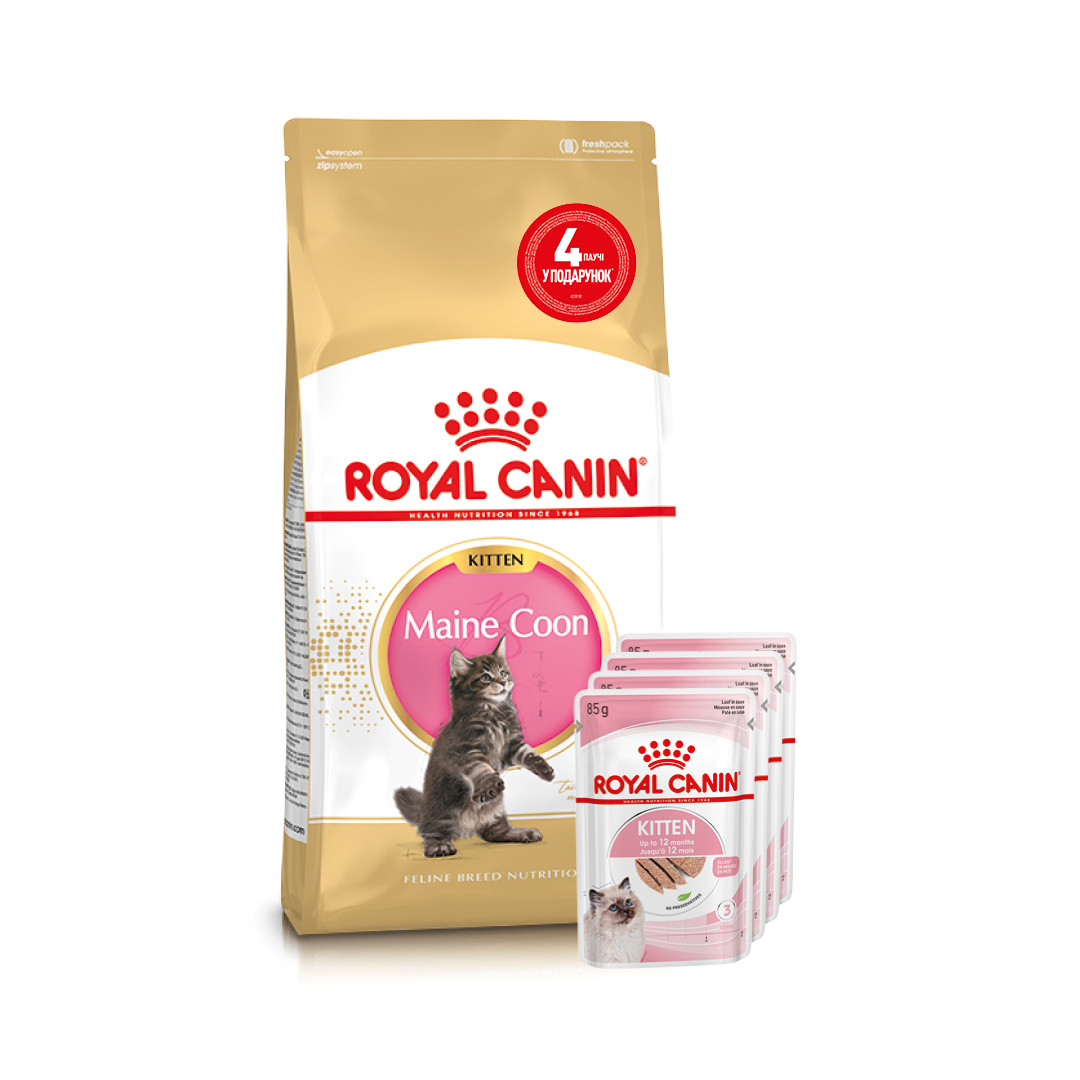 АКЦІЯ! Сухий корм Royal Canin Kitten Maine Coon для кошенят породи мейн Кун , 2КГ +4 пауча у подарунок!