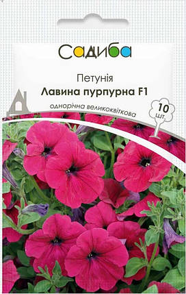 Насіння Петунії Лавина F1 пурпурова 10 гранул, Cerny, фото 1