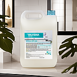 Білизна Анти Бак 5л засіб для прибирання та дезінфекції всіх видів поверхонь, фото 7