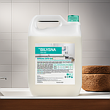 Білизна Анти Бак 5л засіб для прибирання та дезінфекції всіх видів поверхонь, фото 9