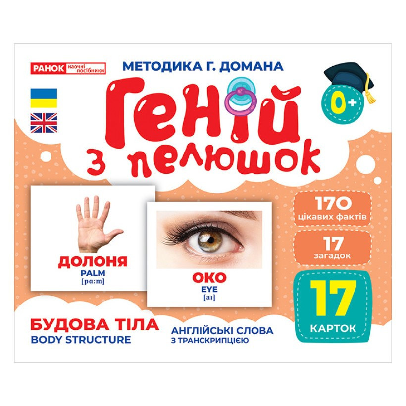 Набір mebelime розвиваючих карток Геній з пелюшок "Будова структура" Ранок 10107202, 17 карток
