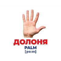 Набір mebelime розвиваючих карток Геній з пелюшок "Будова структура" Ранок 10107202, 17 карток, фото 4