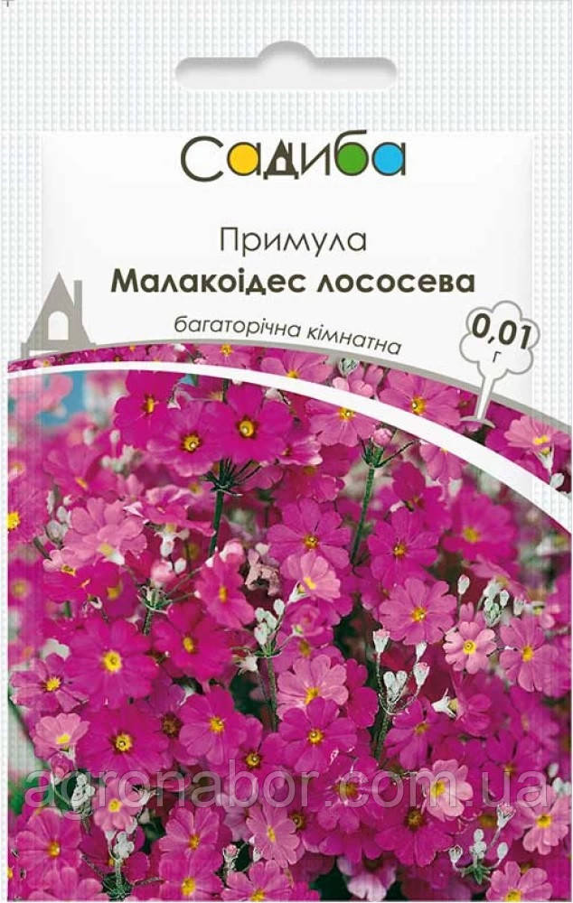 Насіння примули Малакоідес лососева 0,01 г, Hem Zaden