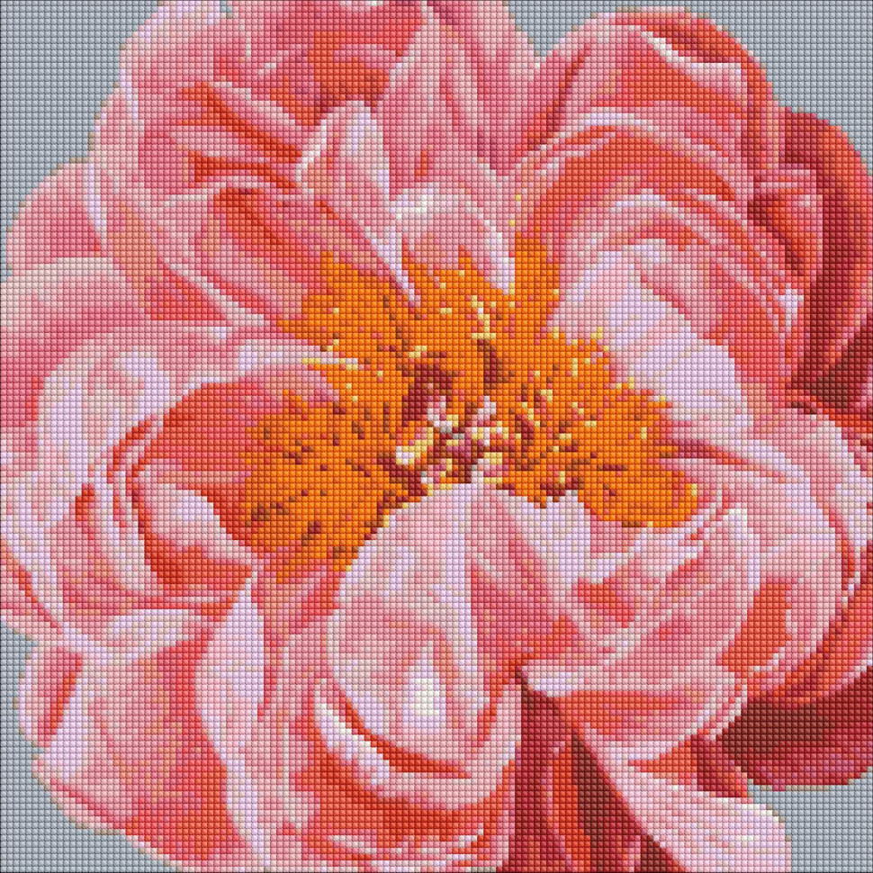 Алмазна мозаїка mebelime "Pink kiss" ©Ira Volkova Ідейка AMO7079 40х40 см